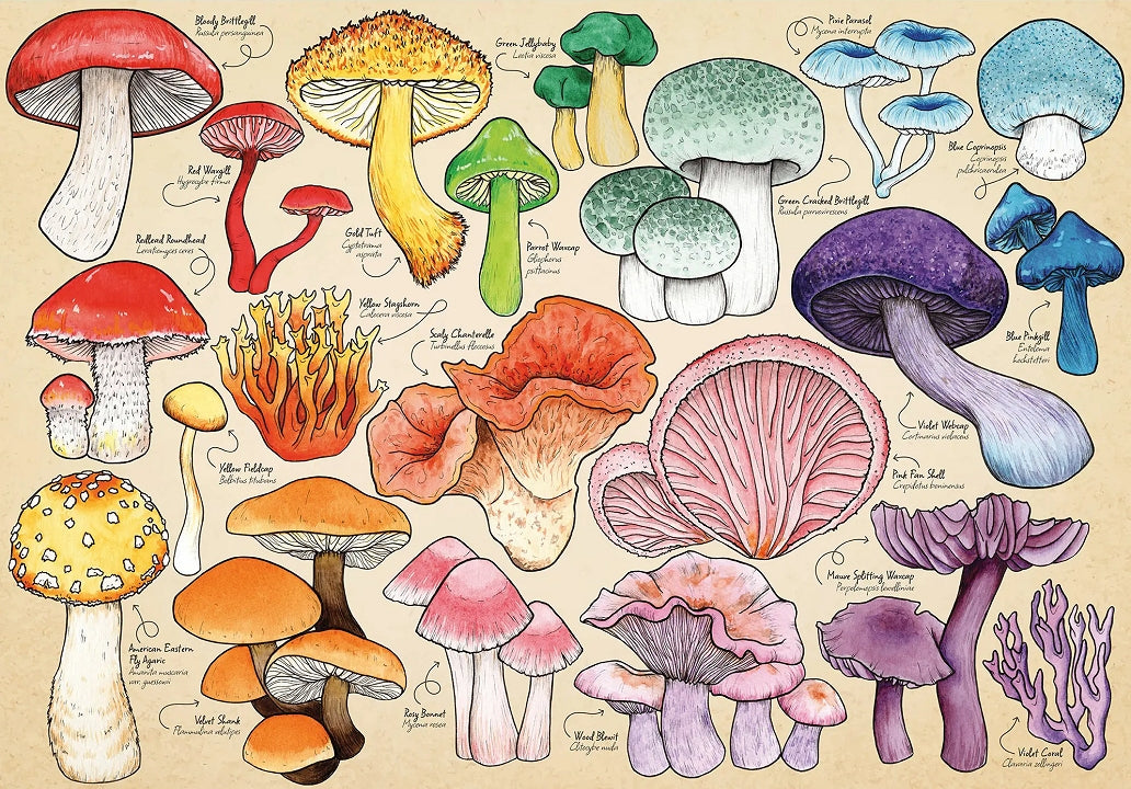 Palapeli 1000 palaa - Mushroom Mania