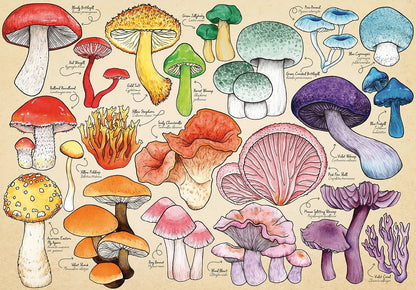 Palapeli 1000 palaa - Mushroom Mania