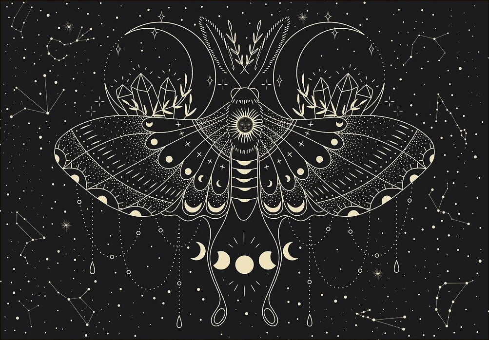 Palapeli 500 palaa   - Moon Butterfly