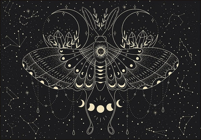 Palapeli 500 palaa   - Moon Butterfly