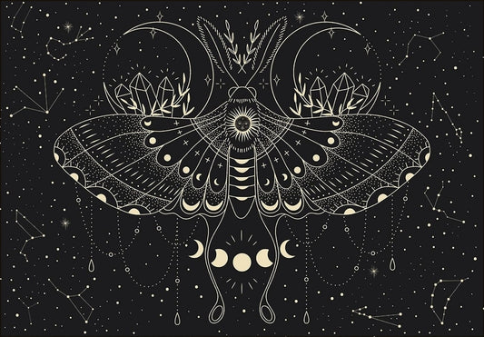 Palapeli 500 palaa   - Moon Butterfly